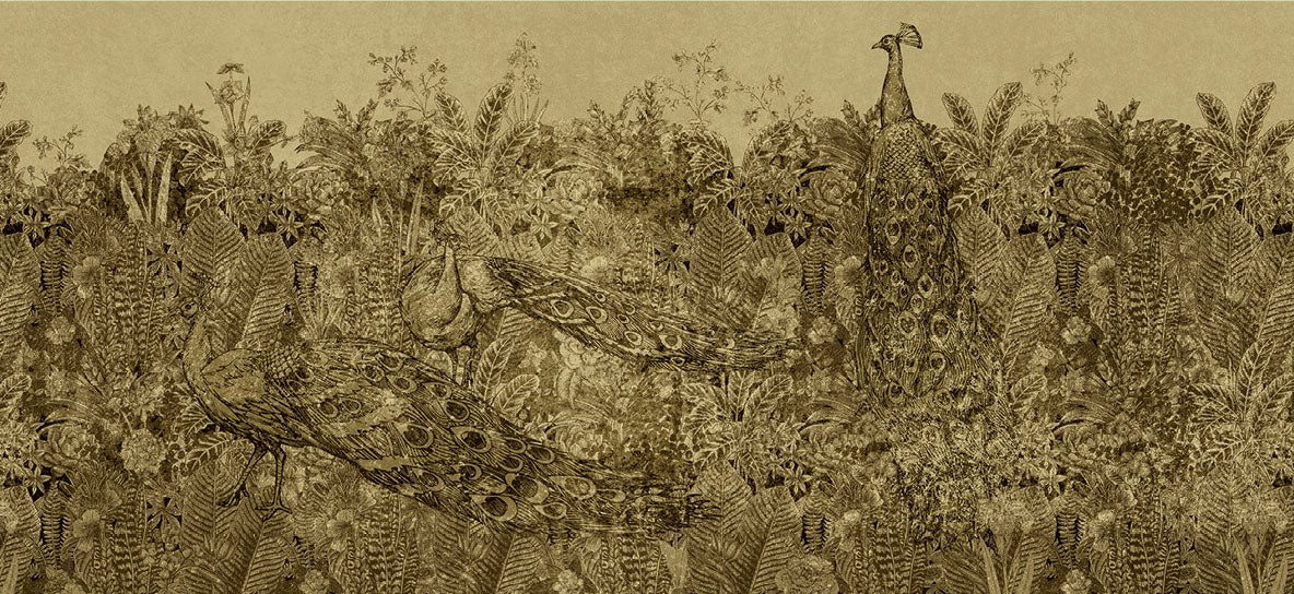 Exotic Birds