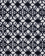 Lattice Noir