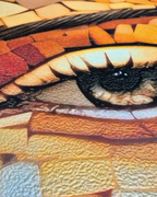 Tapestry of Unity