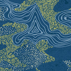 Oceanic Camouflage
