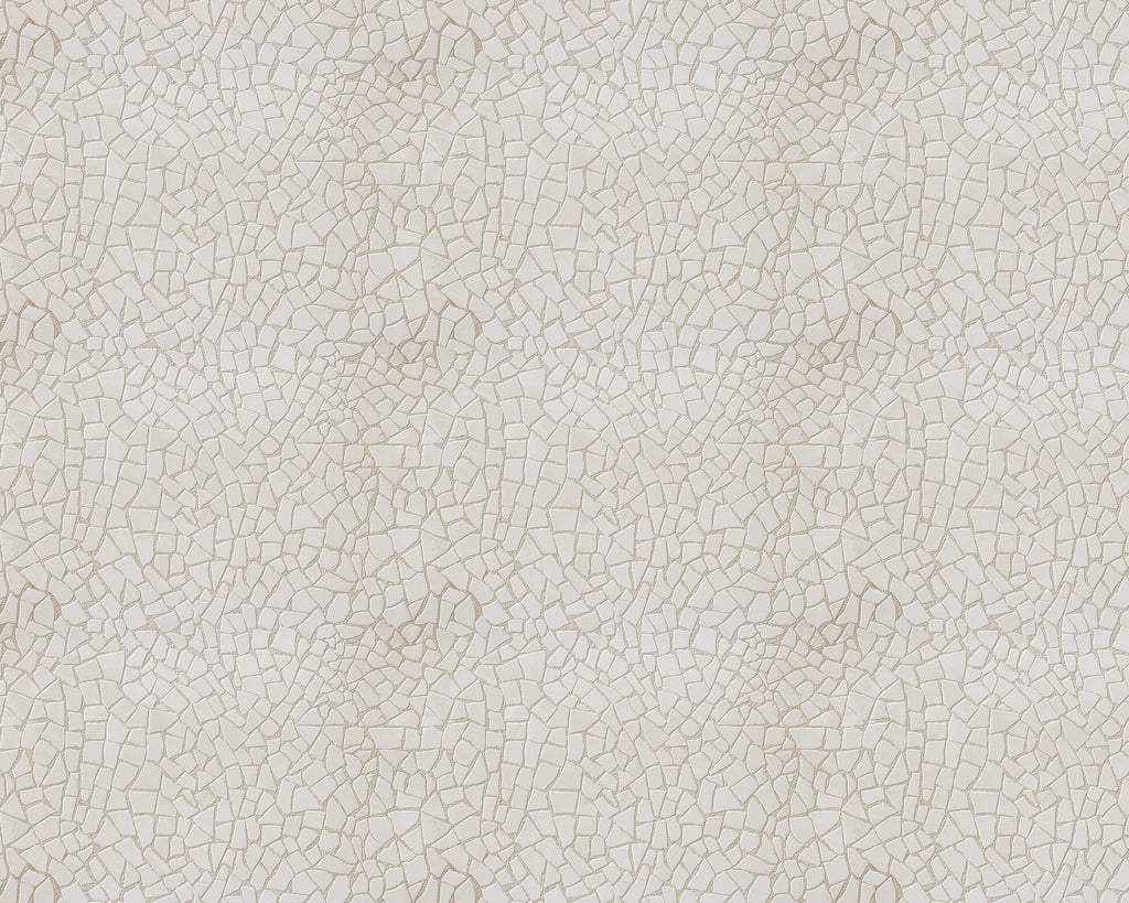 Fractured Desert