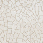 Fractured Desert