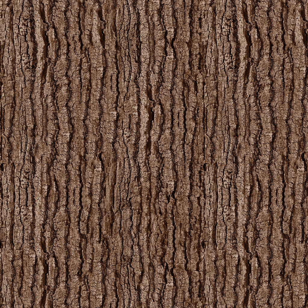 Dark Bark