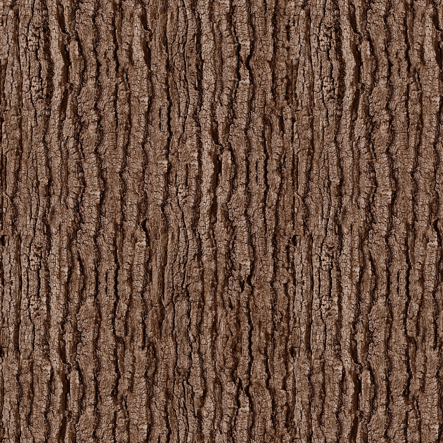 Dark Bark