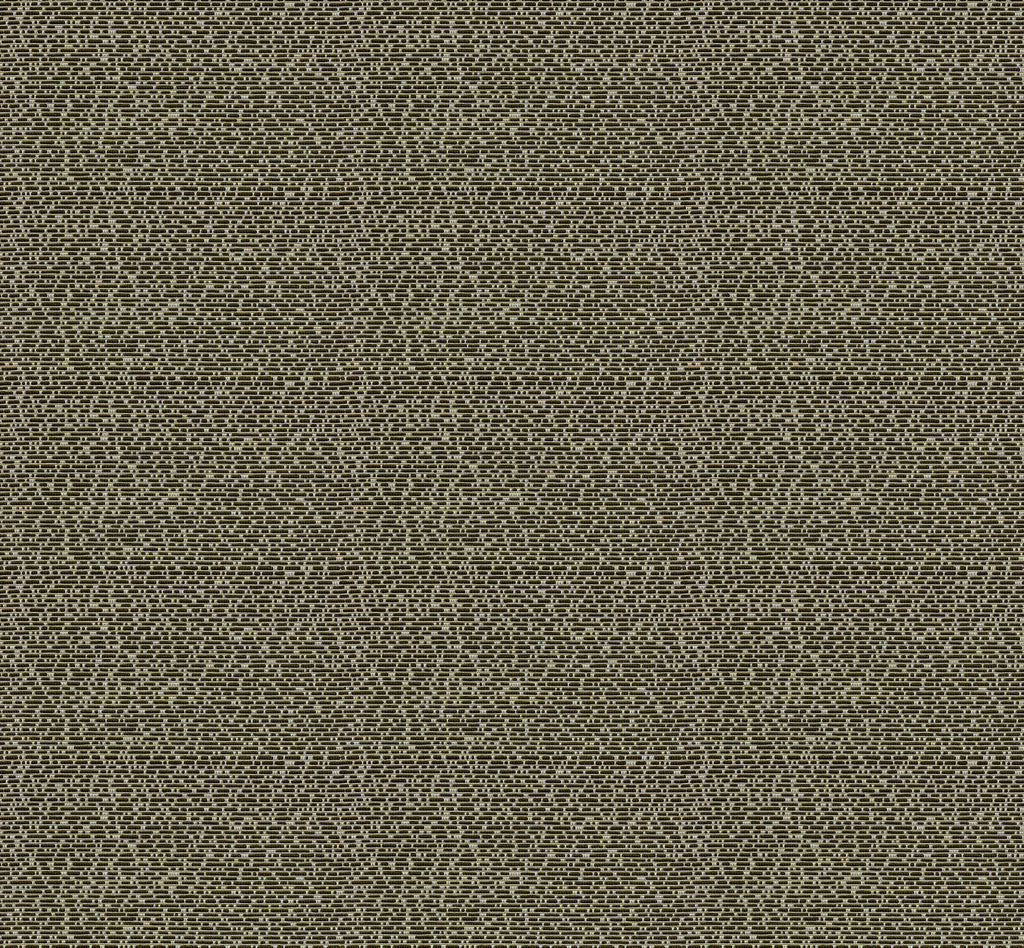 Static Echo