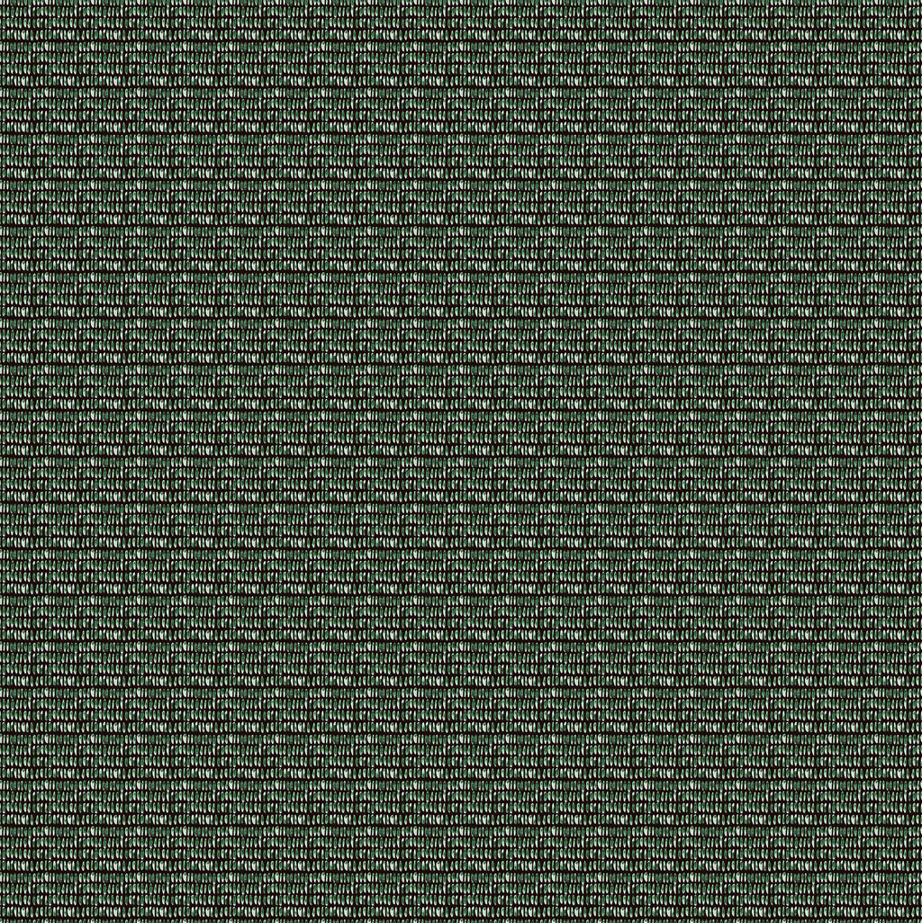 Moss Rythm